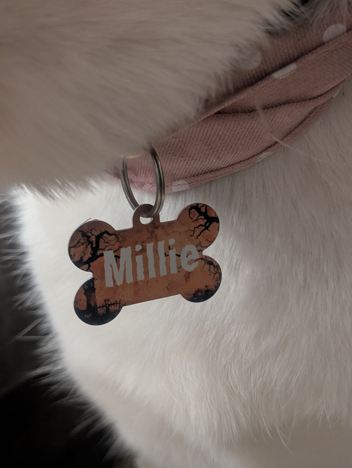 More Than Just A Tag - Halloween Smart QR Pet Tag