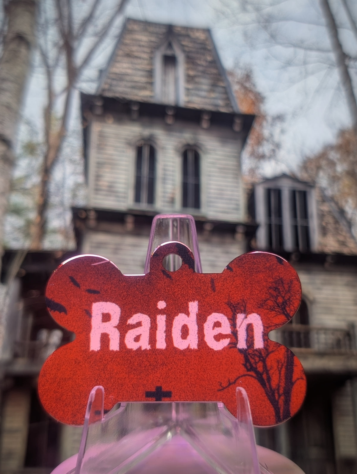 More Than Just A Tag - Halloween Smart QR Pet Tag