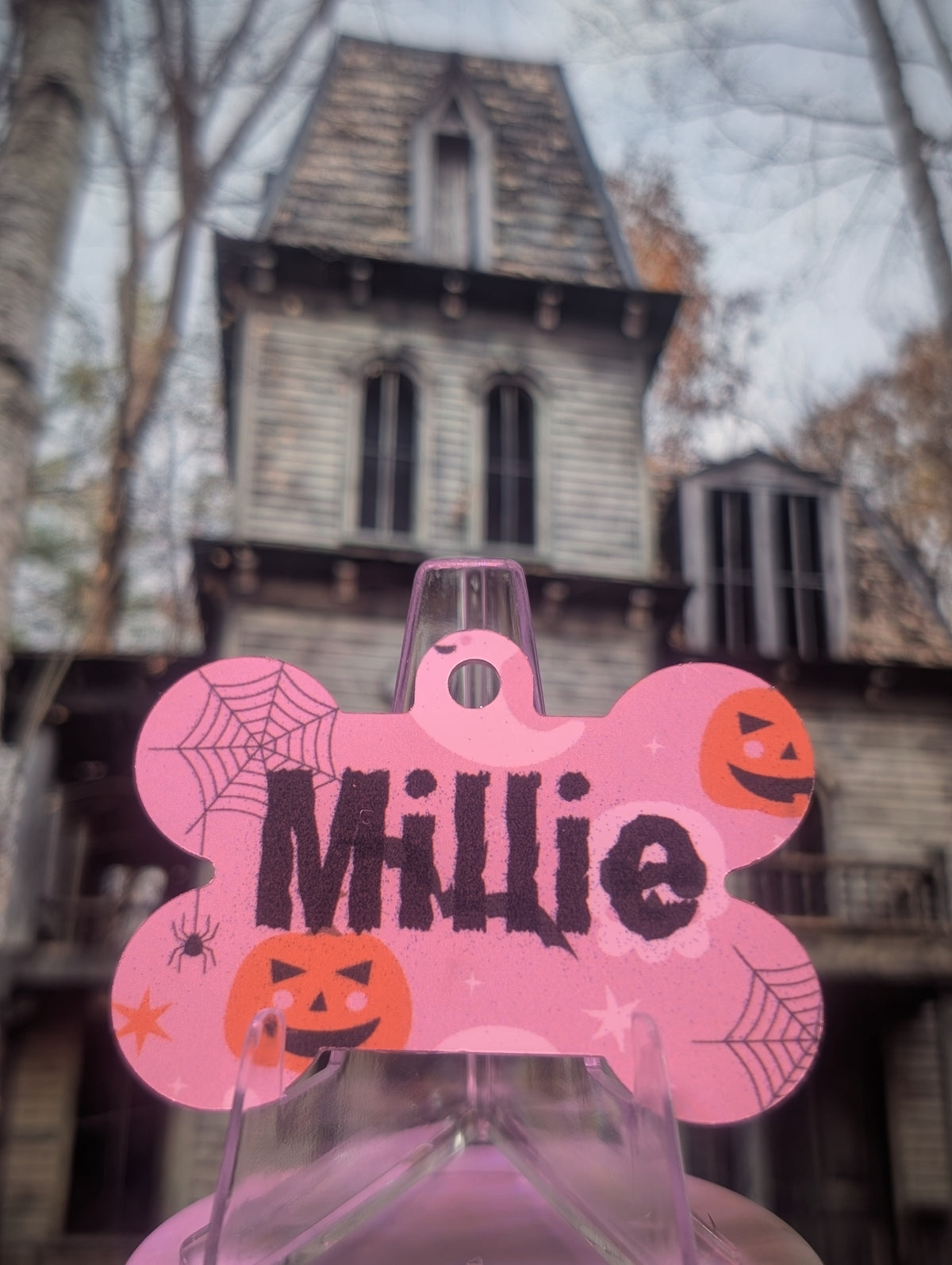 More Than Just A Tag - Halloween Smart QR Pet Tag