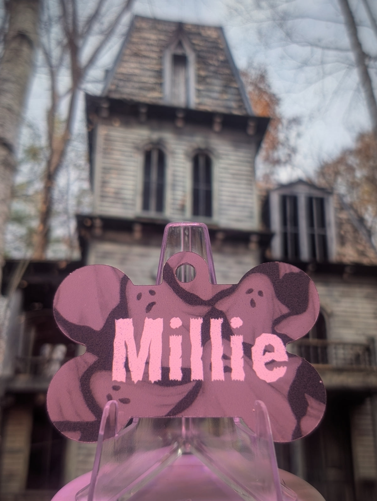 More Than Just A Tag - Halloween Smart QR Pet Tag