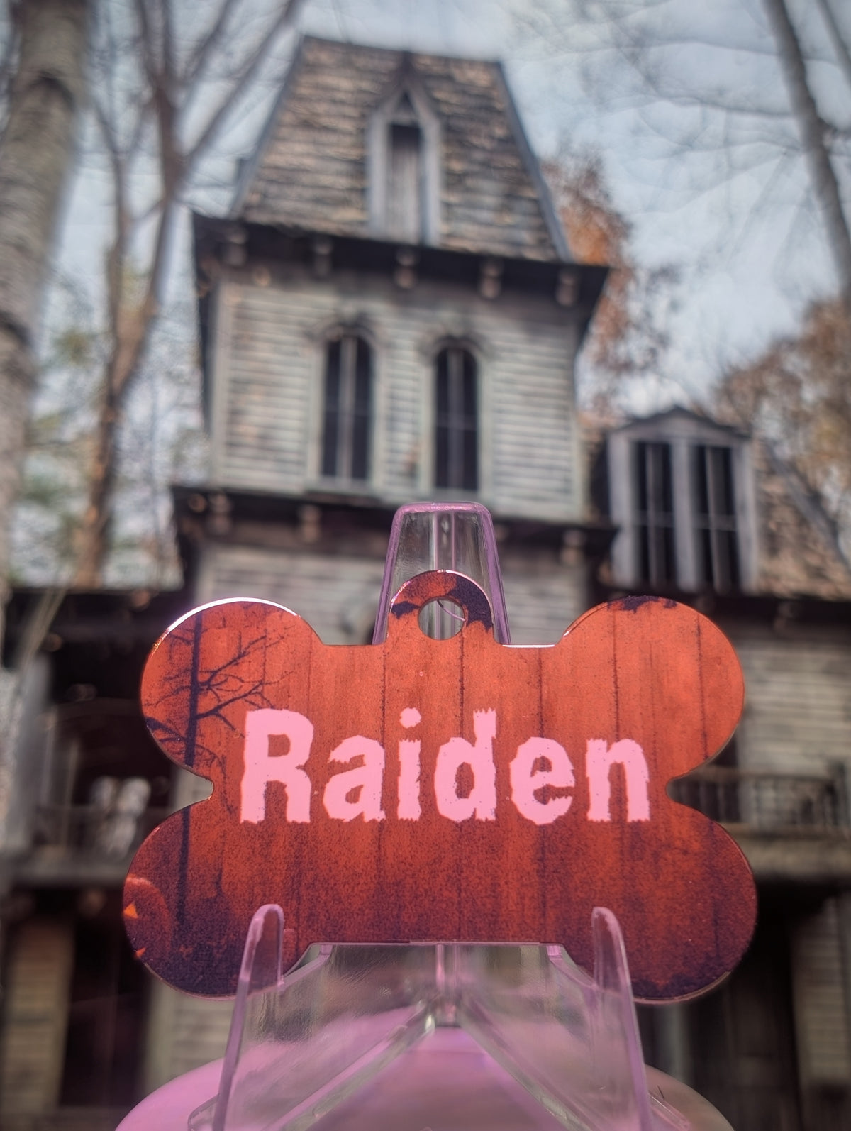 More Than Just A Tag - Halloween Smart QR Pet Tag