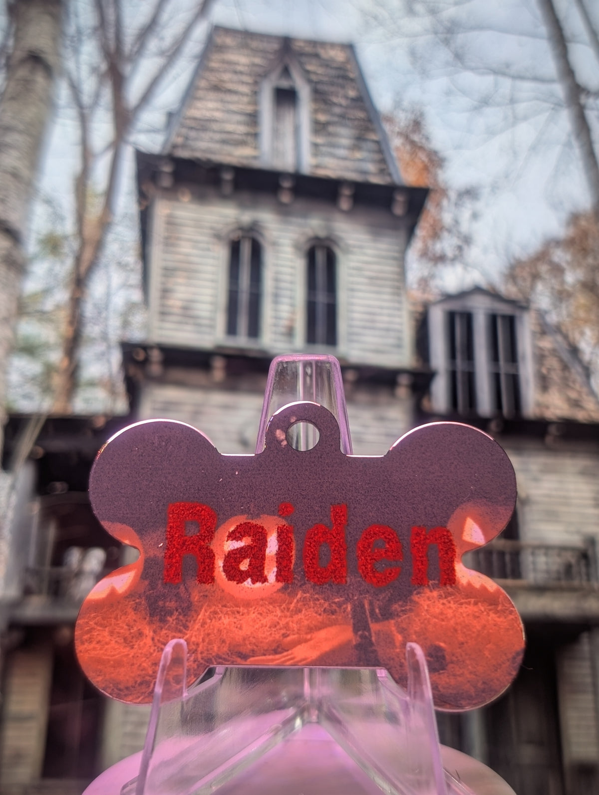 More Than Just A Tag - Halloween Smart QR Pet Tag