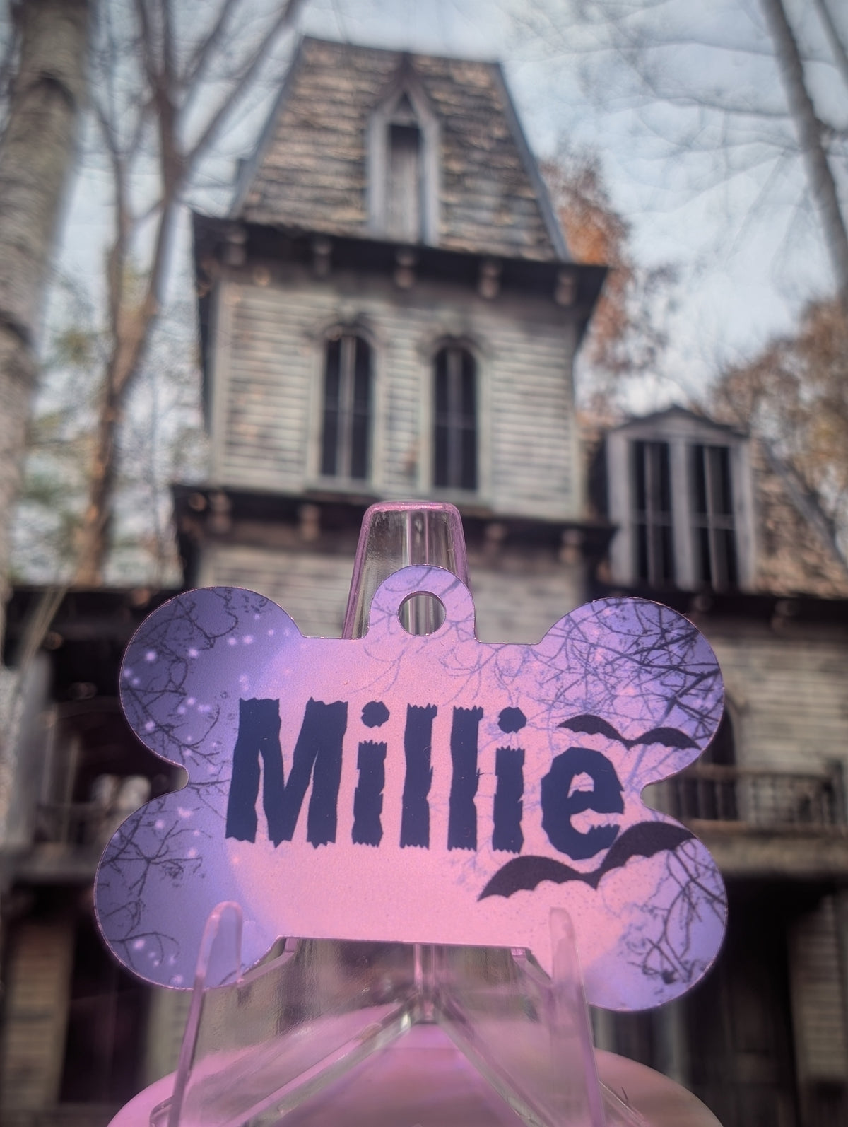 More Than Just A Tag - Halloween Smart QR Pet Tag