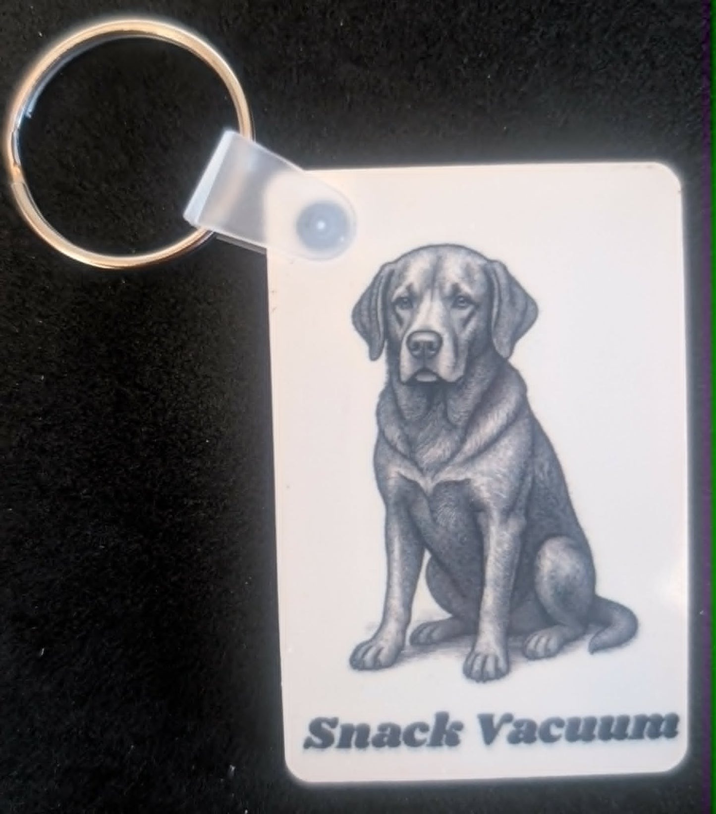 Off Leash Collection Collectible Series