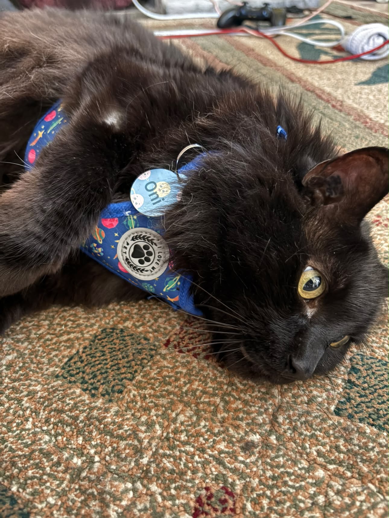 More Than Just a Tag — Personalized QR Pet Tag for Dogs & Cats