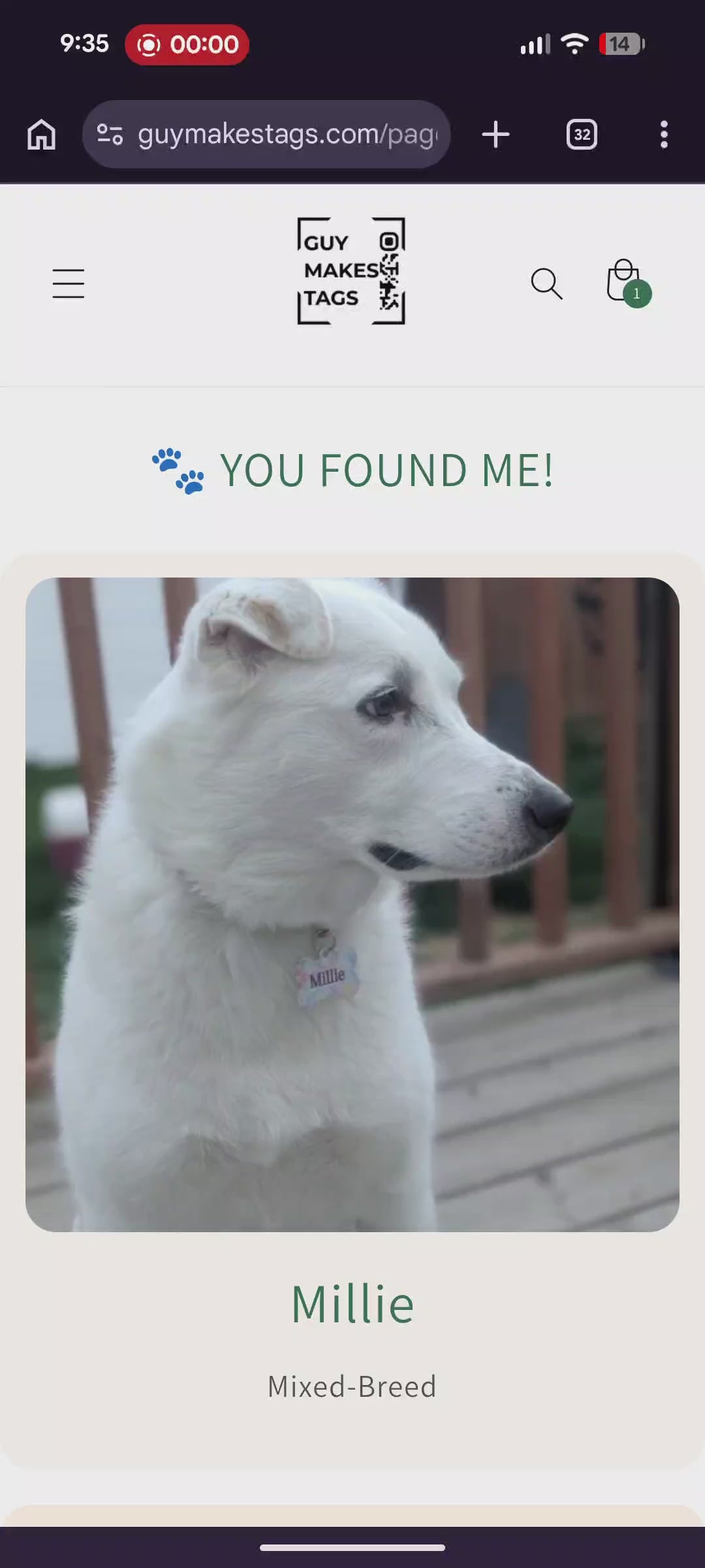 Personalized digital pet profile connected to a Guy Makes Tags Smart QR Pet Tag